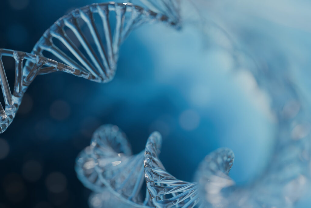 Dystrophie musculaire de Duchenne : de premiers résultats positifs pour une nouvelle thérapie génique