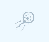 Un  site Internet pour retrouver ses origines