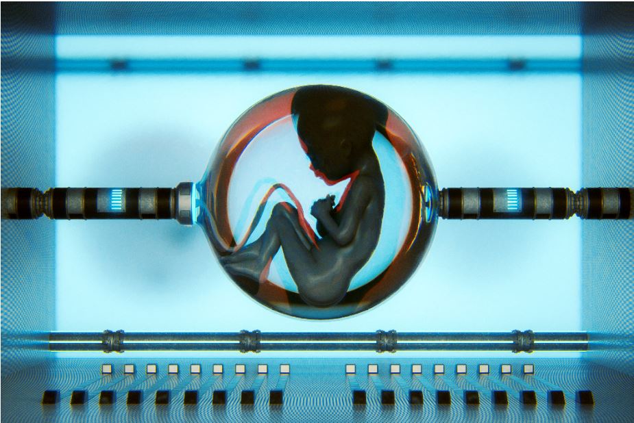 Utérus artificiel : mythe ou réalité ?