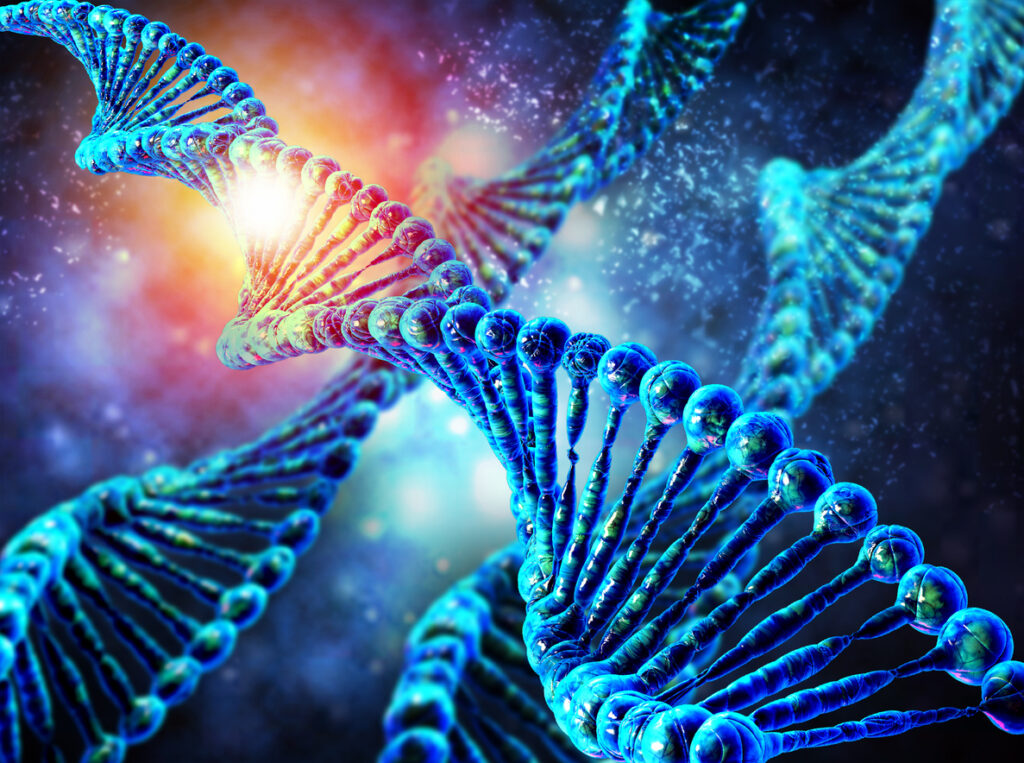 ABE : un « éditeur de base » qui vient compléter l’outil CRISPR