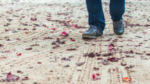 Pays-Bas : la mention « sexe neutre » désormais possible sur sa carte d’identité