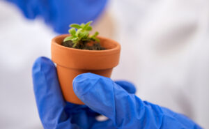 CRISPR-Cas9 vs OGM : A quand le débat ?