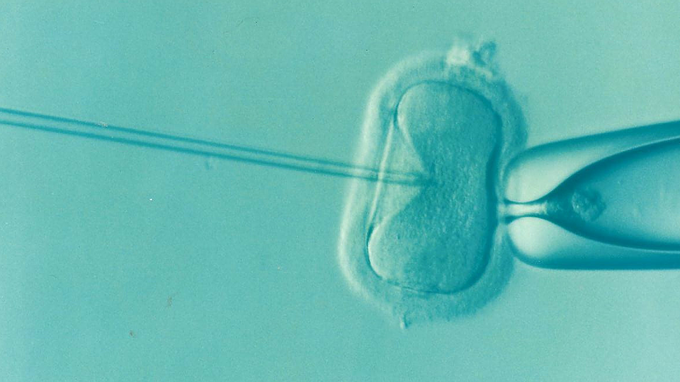 A l’origine du mal-être d’une jeune mère : son bébé, né par PMA, ne lui ressemble pas
