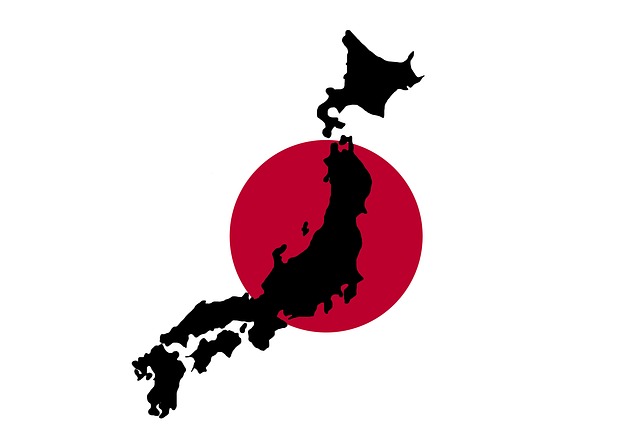 Au Japon : les cliniques privées désormais autorisées à pratiquer le diagnostic prénatal non invasif