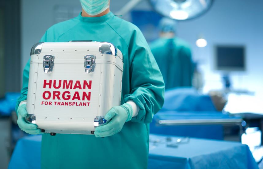 La production d’organes humains dans des chimères animales pose des problèmes médicaux et éthiques