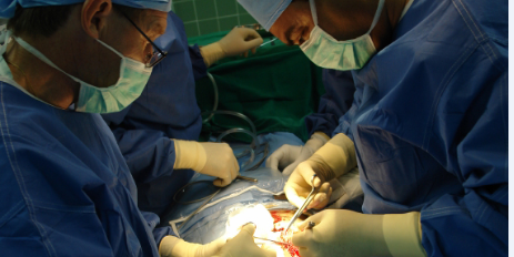 Don d’organes : opportunité ou opportunisme ?