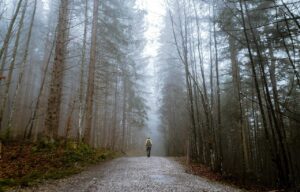 Télémédecine : un bénéfice pour l’environnement, mais pour le patient ?