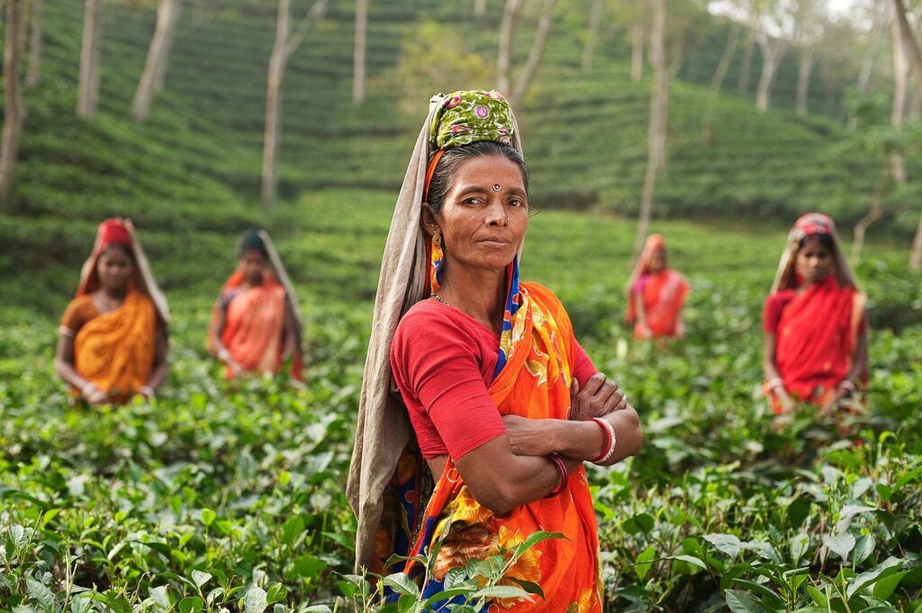 Inde : l’interdiction totale de la GPA commerciale a été validée par le Parlement Indien