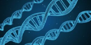 « Bébé génétiquement modifié » : confirmation d’une seconde grossesse en Chine