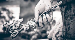 En six mois, plus de 800 personnes euthanasiées au Canada