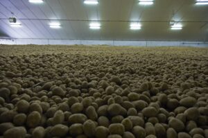 OGM : BASF auditionné par des députés français