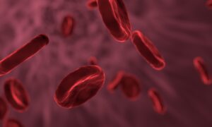 CRISPR : des résultats positifs pour une nouvelle thérapie génique contre la drépanocytose
