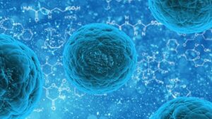 Parthénotes et maladie de Parkinson : l’essai clinique australien se poursuit