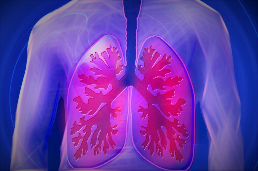 Transplantation d’organes : vers des donneurs universels ?