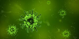 Des capsules pour transporter CRISPR dans les cellules humaines