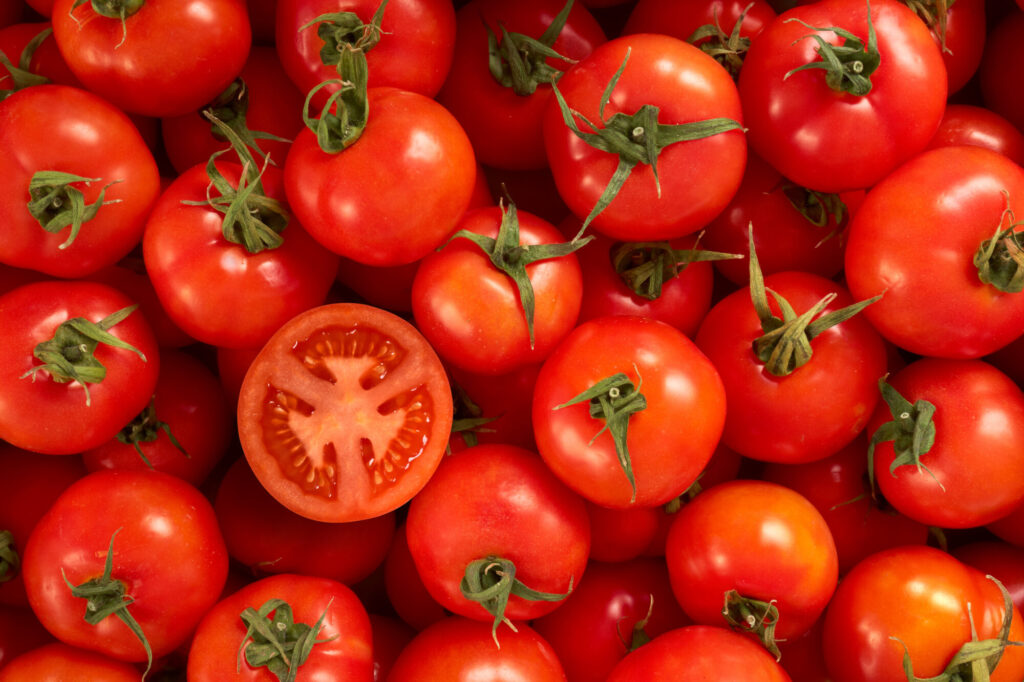 Nouvelles techniques génomiques : des tomates « enrichies en vitamine D » testées sur la population