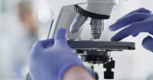 Un « modèle embryonnaire » doté d’un sac vitellin, obtenu sans manipulation génétique