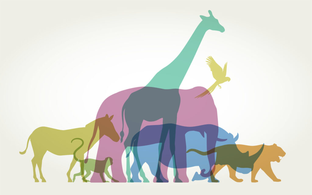 Après le mammouth, le dodo, faire « revivre » l’antilope bleue : les ambitions inépuisables de Colossal Biosciences