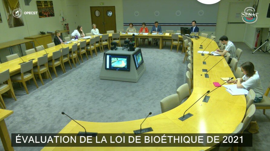PMA post-mortem, ROPA, embryons cultivés 21 jours : les recommandations de l’OPECST pour la prochaine loi de bioéthique